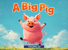 A Big Pig
