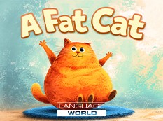 A Fat Cat