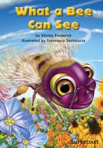 What a Bee Can See