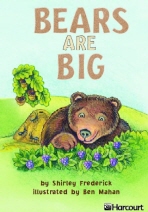 Bears Are Big