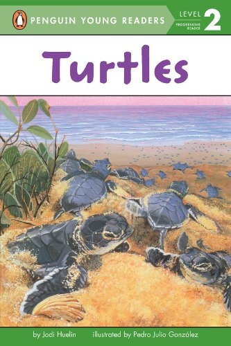 PYR(Lvl.2): Turtles 