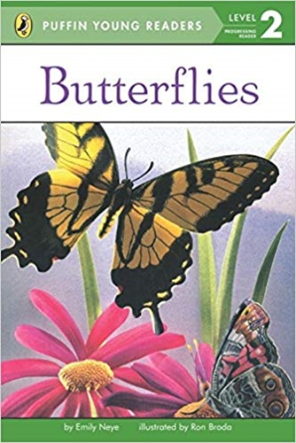 PYR(Lvl.2): Butterflies 