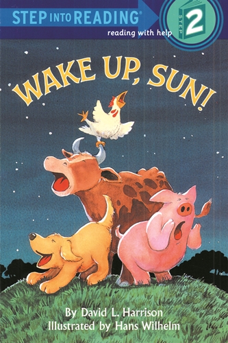 SIR(Step2): Wake Up, Sun!