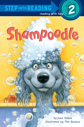SIR(Step2): Shampoodle