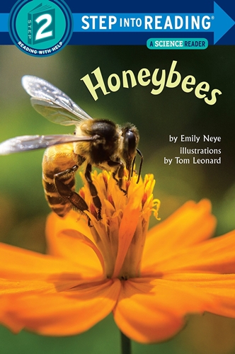 SIR(Step2): Honeybees