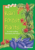 Rain Forest Plants