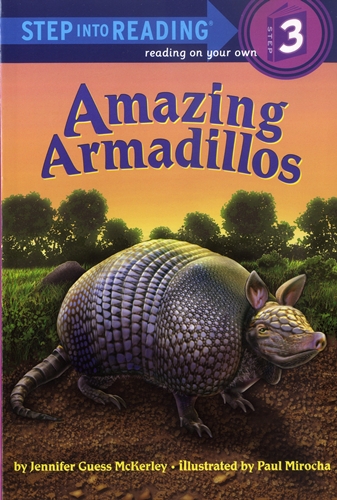 SIR(Step3): Amazing Armadillos