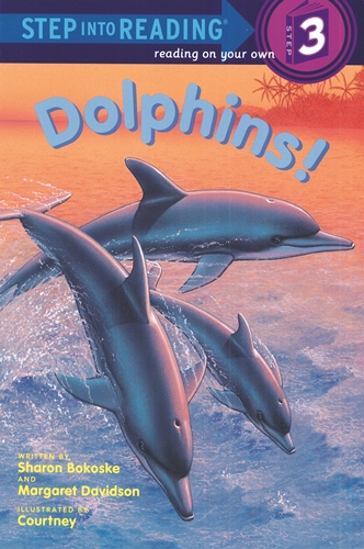 SIR(Step3): Dolphins!