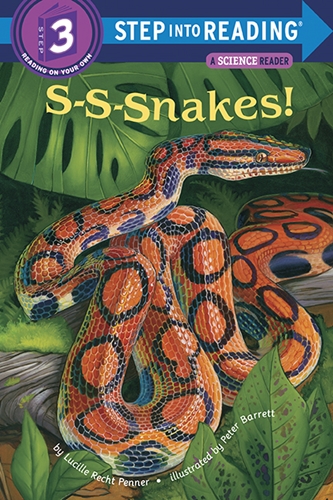 SIR(Step3): S-S-Snakes!