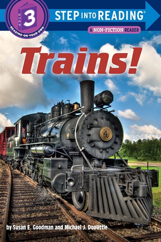 SIR(Step3): Trains!