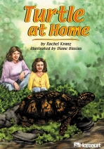 Turtle at Home