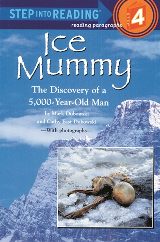 SIR(Step4): Ice Mummy