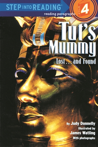 SIR(Step4): Tut´s Mummy: Lost...and Found