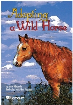 Adopting a Wild Horse