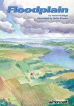 Floodplain