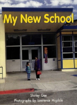 My New School