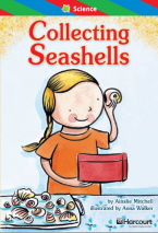 Collecting Seashells
