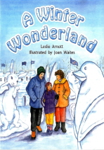 A Winter Wonderland