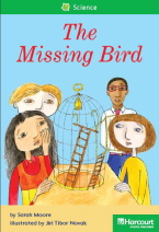 The Missing Bird