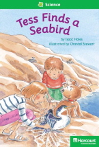 Tess Finds a Seabird