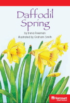 Daffodil Spring