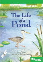 The Life of a Pond