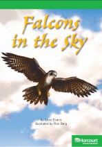 Falcons In The Sky