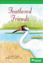 Feathered Friends